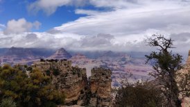 Best of GC - 20190523